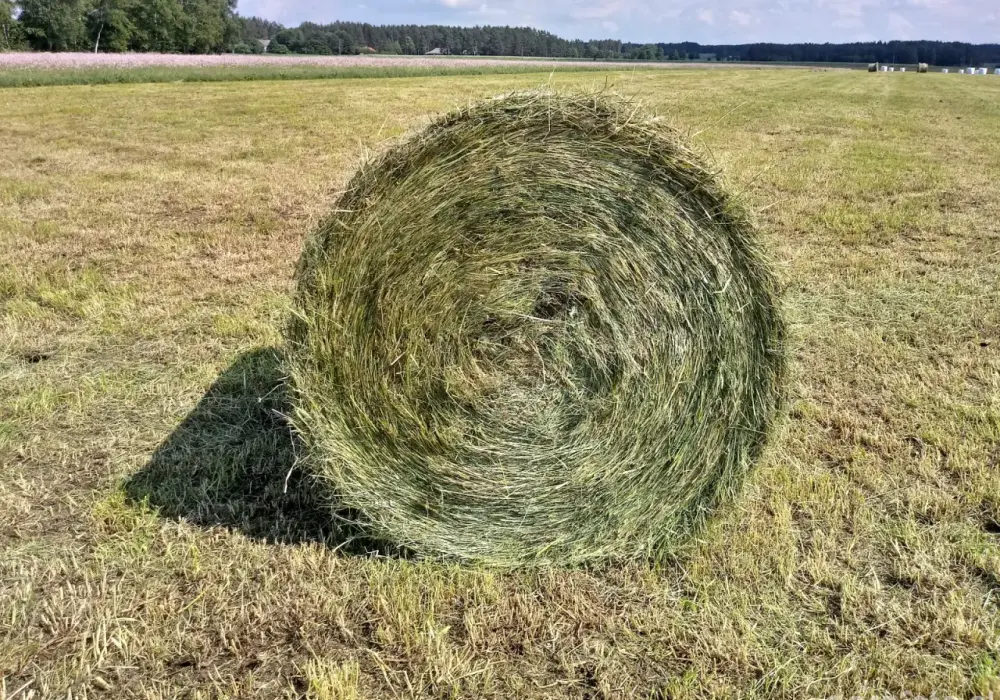 Ile waży balot siana? Poznaj wagi i czynniki wpływające na ciężar