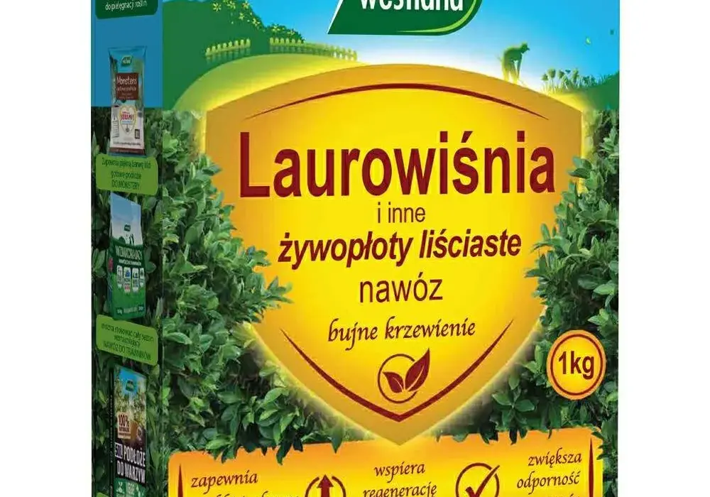 Jaki nawóz do laurowiśni? Odkryj najlepsze sposoby na zdrowe rośliny