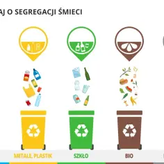 Gdzie wyrzucić puszki? Oto co musisz wiedzieć o recyklingu