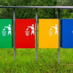 Gdzie wyrzucić szklanki? Oto, co musisz wiedzieć o recyklingu