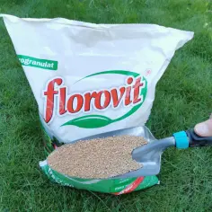 Jaki nawóz do trawy na kolor, aby uzyskać intensywną zieleń?
