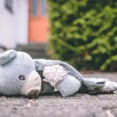 Gdzie wyrzucić zabawki? Sprawdź, jak to zrobić ekologicznie