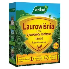 Jaki nawóz do laurowiśni? Odkryj najlepsze sposoby na zdrowe rośliny