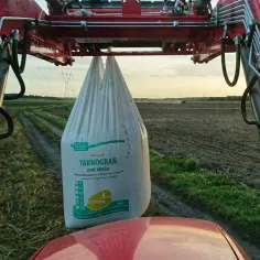 Jakie nawozy pod zboża jare zapewnią najwyższe plony?