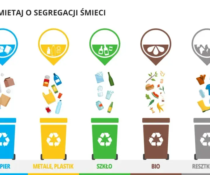 Gdzie wyrzucić puszki? Oto co musisz wiedzieć o recyklingu