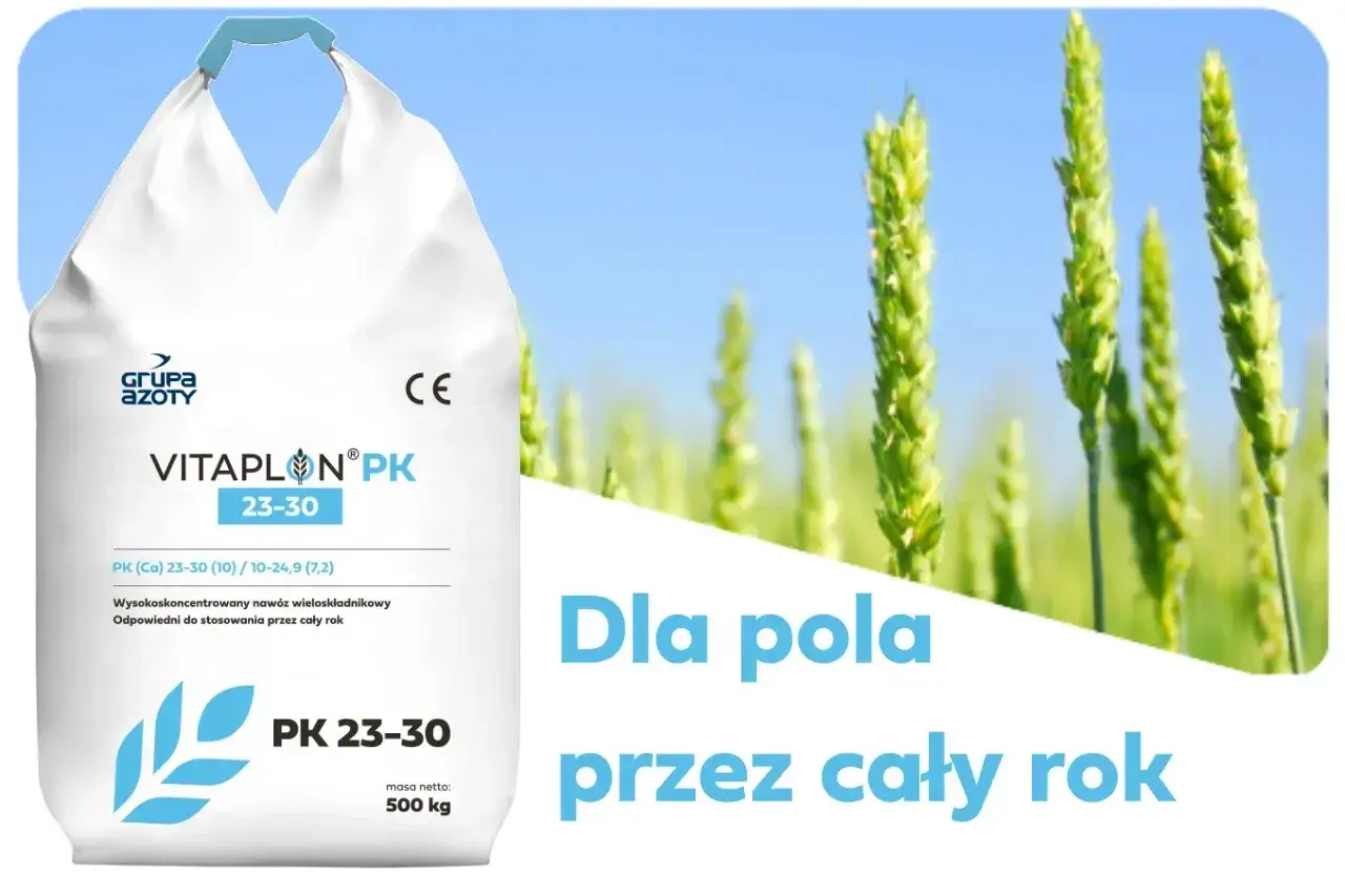 Zdjęcie Jaki nawóz pod żyto ozime? Odkryj najlepsze metody nawożenia
