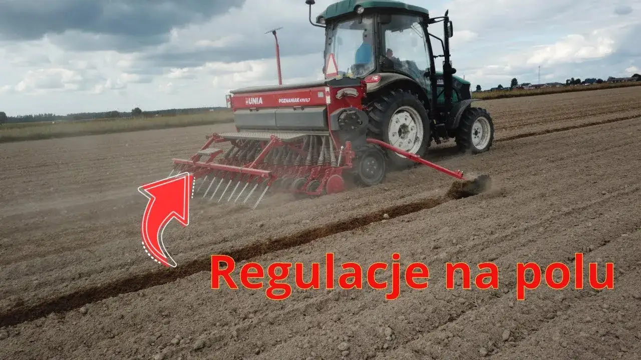 Zdjęcie Ile się sieje żyta hybrydowego na hektar? Sprawdź najlepsze normy