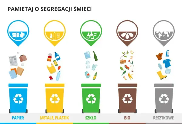 Gdzie wyrzucić puszki? Oto co musisz wiedzieć o recyklingu