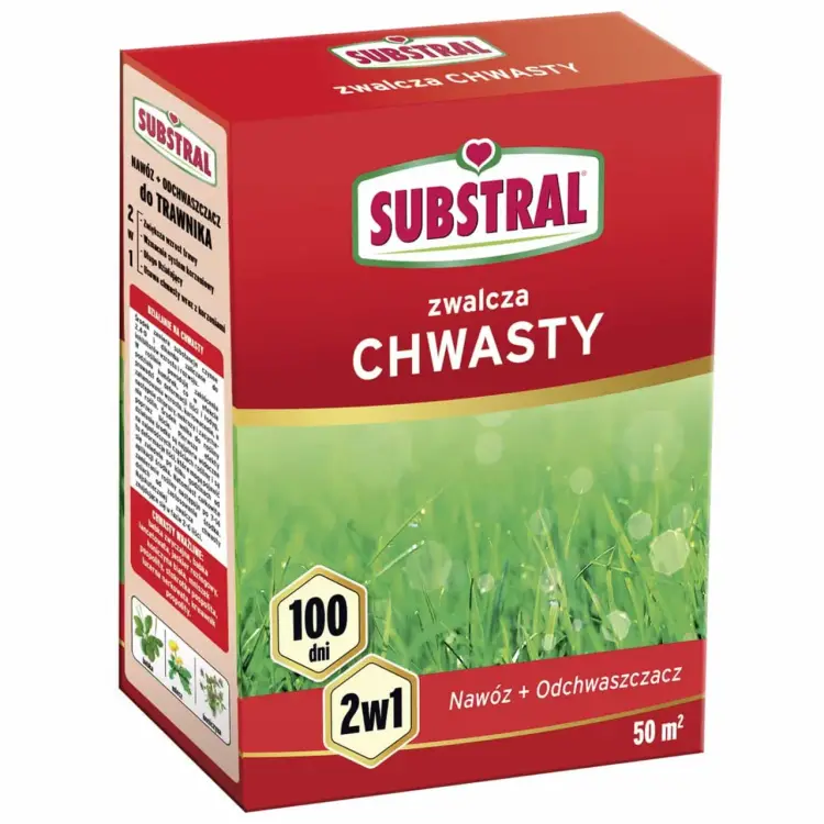 Jaki nawóz na drugą dawkę? Unikaj błędów i zwiększ plony rzepaku